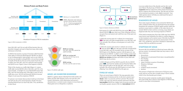 A Guide for Understanding Maple Syrup Urine Disease (MSUD) - Page 3